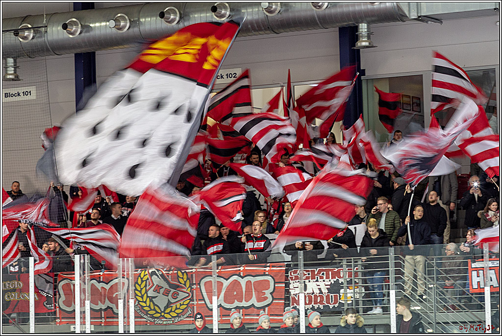 DNL-Playofffinale; Junghaie Koeln - Jungadler Mannheim, 20.03.2019